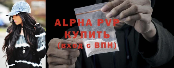 прущие грибы Абаза