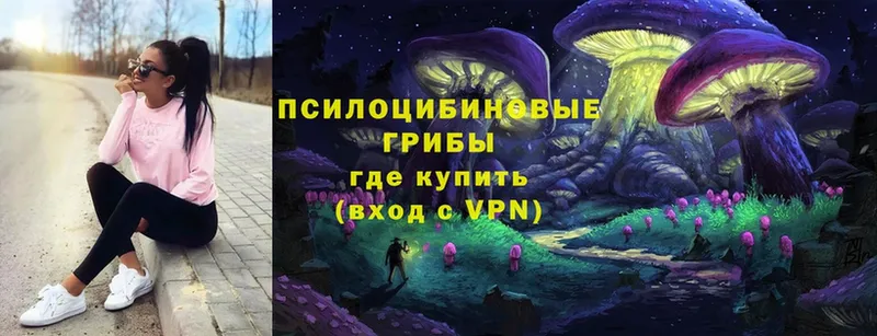 Галлюциногенные грибы Cubensis  Азов 